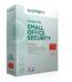 KASPERSKY Small Office 1 Yıl 1 server