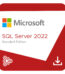 SQL Server 2022 Standard Edition Perpetual 1 Server