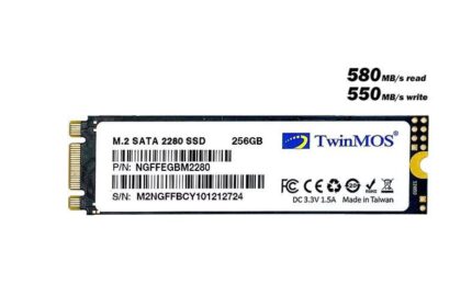 TwinMOS 256GB M.2 2280 SATA3 SSD (580Mb-550Mb/s) 3DNAND