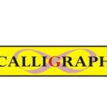 CALLIGRAPH TN-2355 HL-L2365DW, MFC-L2740DW, MFC-L2700DW 2600 SY. SİYAH TONER - KAR37334