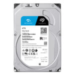 SEAGATE SKYHAWK 6 TB 256MB 5400RPM SATA3.0  7/24 Güvenlik HDD - KAR58264